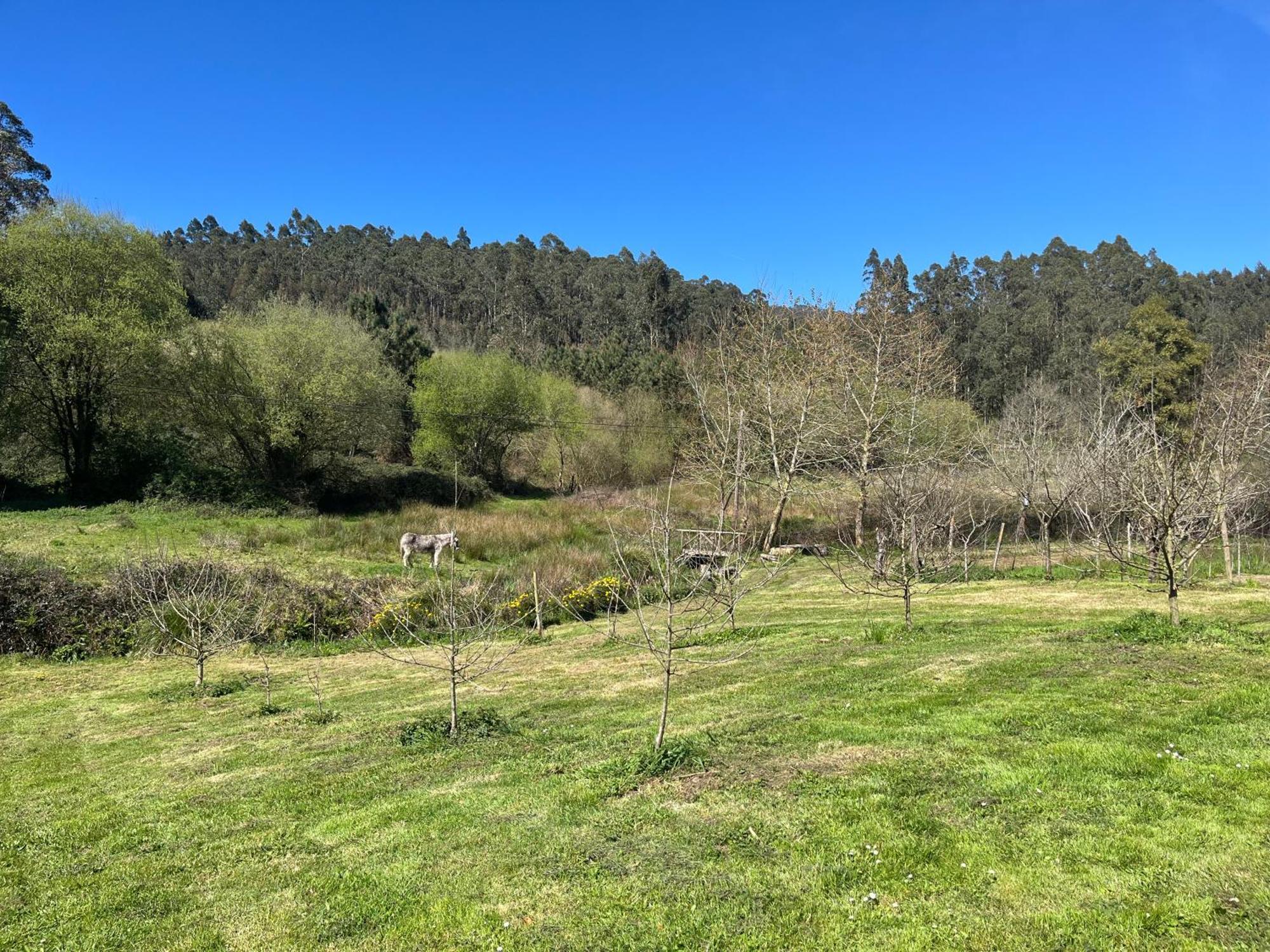 Casa De Campo Pumarada De Oirin Foz Esterno foto
